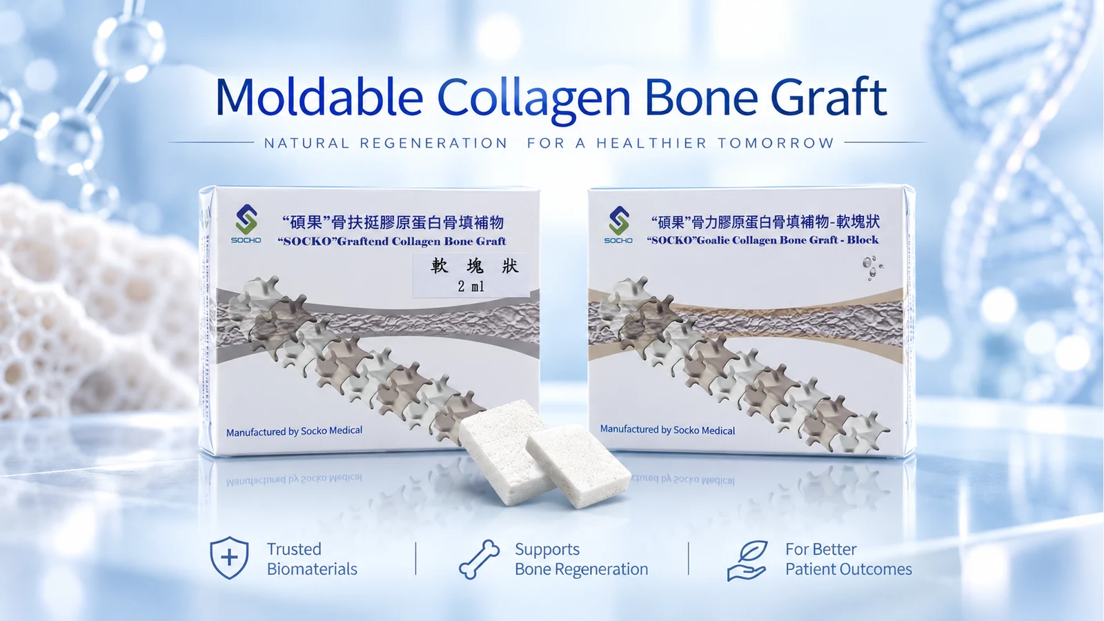 Moldable Collagen Bone Graft
